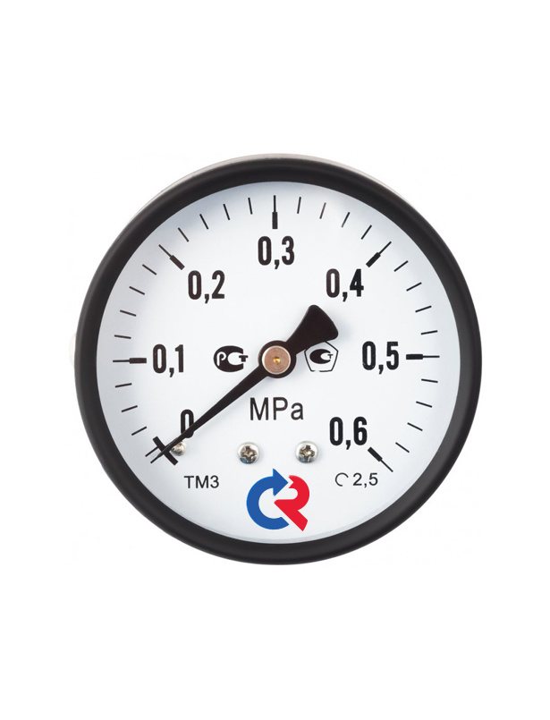 Манометр общетехнический стандартное исполнение ТМ-310Т.00(0-0,6МПа) - фото 